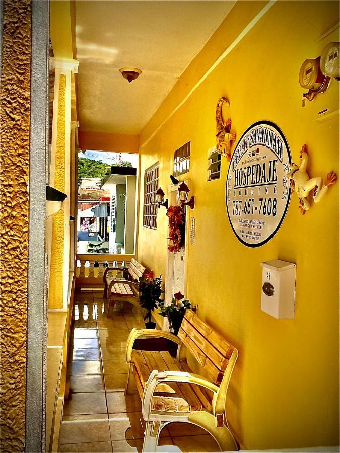 Great Savannah Guesthouse Sabana Grande 외부 사진