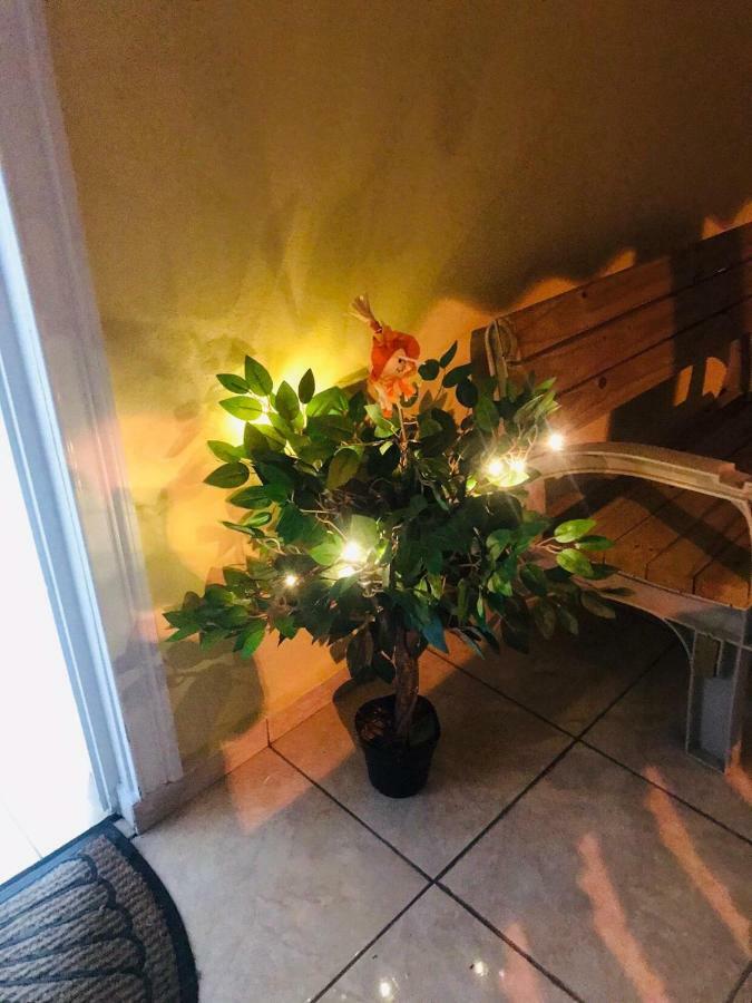 Great Savannah Guesthouse Sabana Grande 외부 사진
